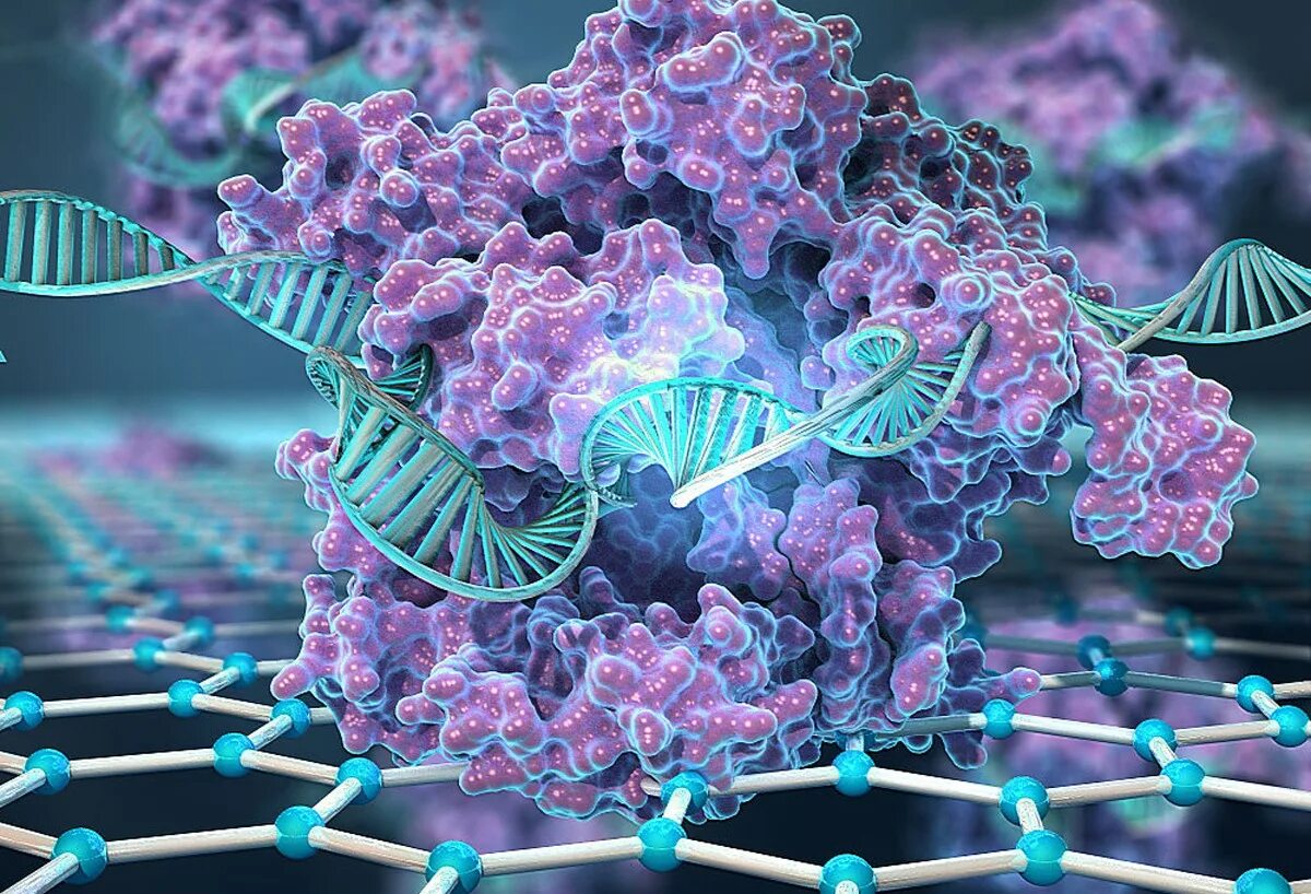 Биотехнология клеточная и генная. CRISPR cas9. Генетика CRISPR. Генная инженерия CRISPR. Технология редактирования генов CRISPR/cas9.