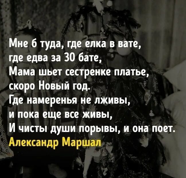 Елка туда. Стих бате. стихотворение мне б туда. мне туда где елка в вате. где намерения не лживы и пока еще все живы.