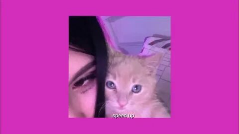 Кайф ты поймала speed