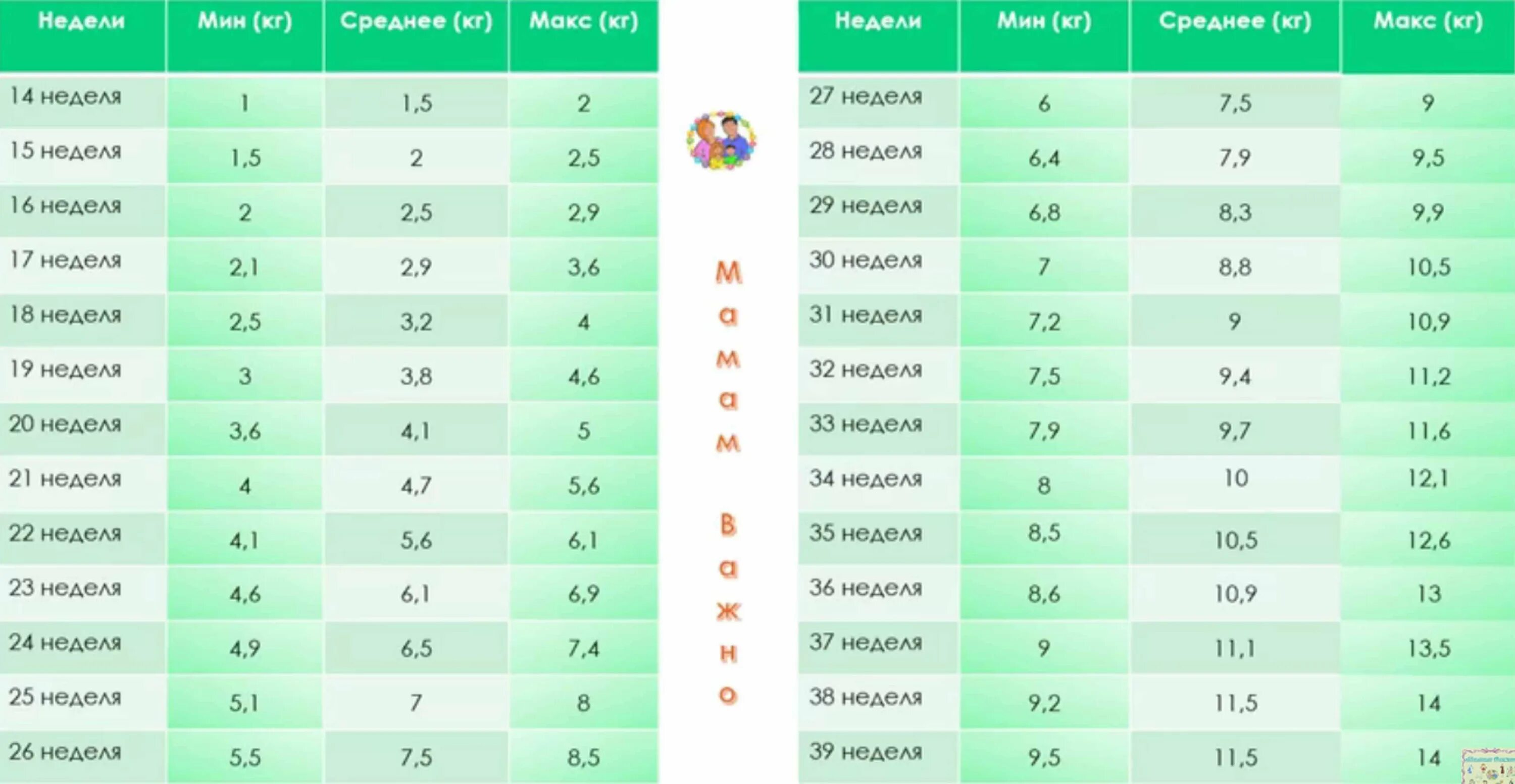 36 Недель прибавка в весе норма. Норма набора веса на 36 неделе. Норма набора веса 37 недель. Прибавка в весе по неделям беременности таблица.