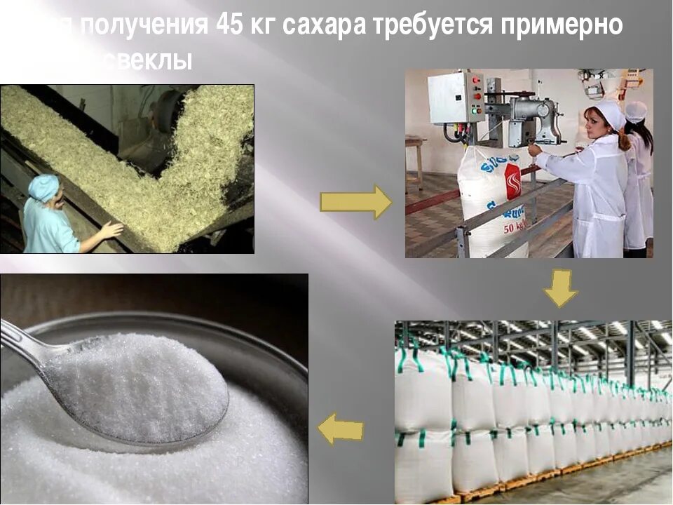 Производство свекловичного сахара. Производство сахара из сахарной свеклы. Сырье для производства сахара. Из чего изготавливают сахар.