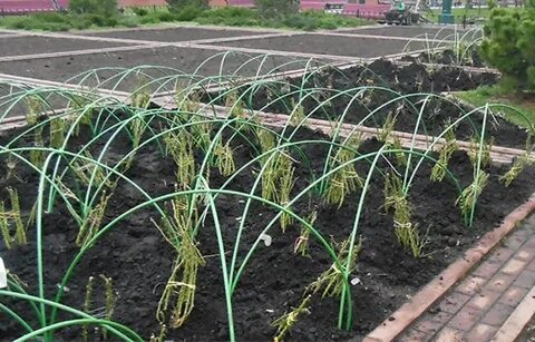 Дуги из композитной арматуры