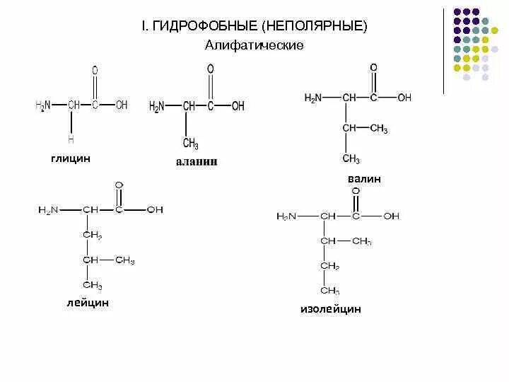 Для чего нужен лейцин. Для чего нужен лейцин