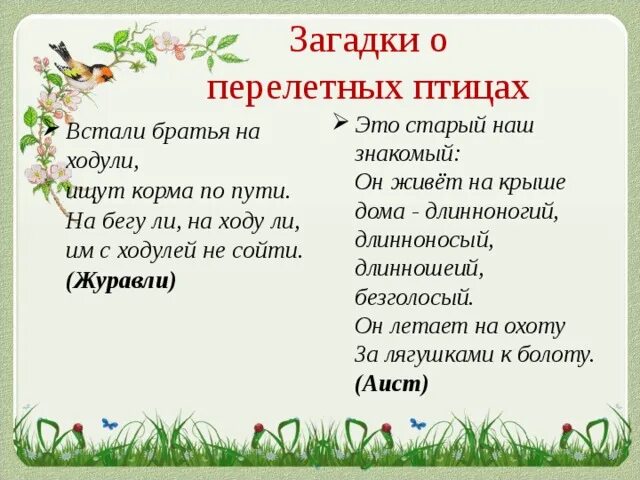 Загадки про птиц 4 лет. Загадка про перелетных птиц для детей 5-6. Загадки про перелетных птиц. Загадки о пьицах перельнвх. Загадка оперелетнвх птивыпхх.