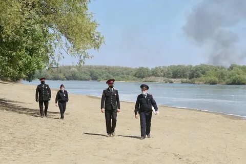 Кто выходит на берег