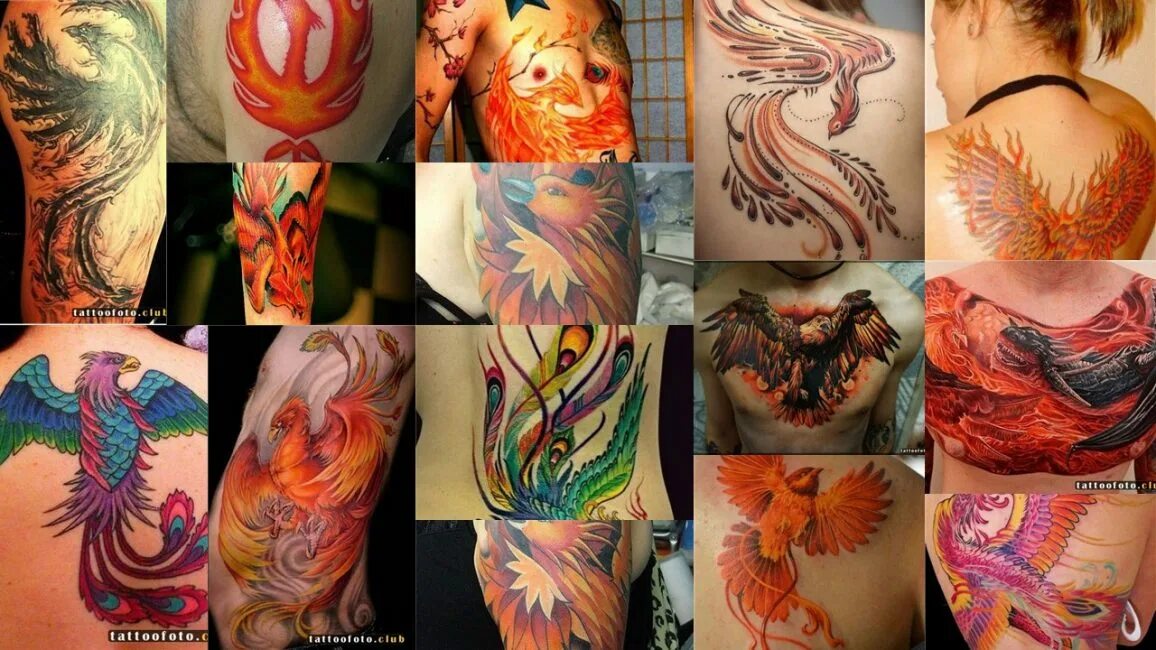 Тату птица феникс значение для девушек. Феникс тату значение. Птица феникс тату. Жар птица тату. Птица феникс тату.