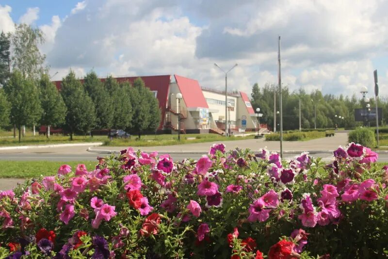 Радужный владимирская область вакансии работа. Магазины радужный владимирская область. Владимирский стандарт камешково. Ритуальные услуги обнинск курчатова. Радужный владимирская область вакансии работа.