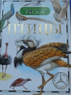Птица ученик