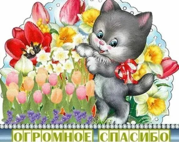 Большое спасибо очень было приятно. Большое спасибо очень было приятно. Большое спасибо очень было приятно. Спасибо большое. Благодарю за поздравления очень приятно.