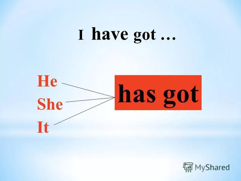 I have one. I have one