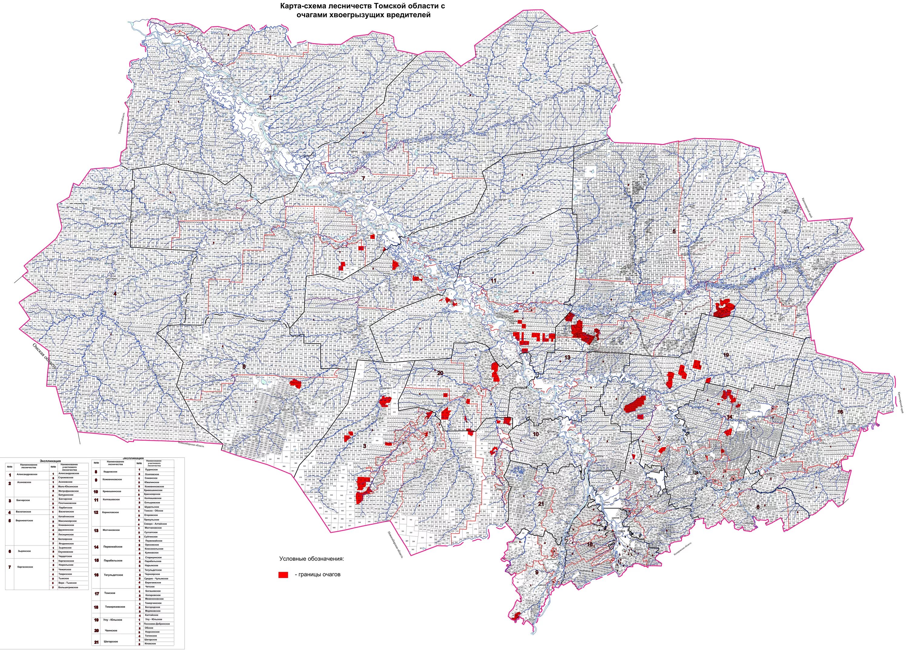 Томская область карта спутник. Карта Томской области по кварталам. Карта кварталов леса Томской области. Лесничества Томской области. Карта Первомайского района Томской области подробная.