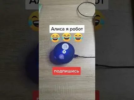 Извиняемся алиса