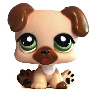 Go pet shop