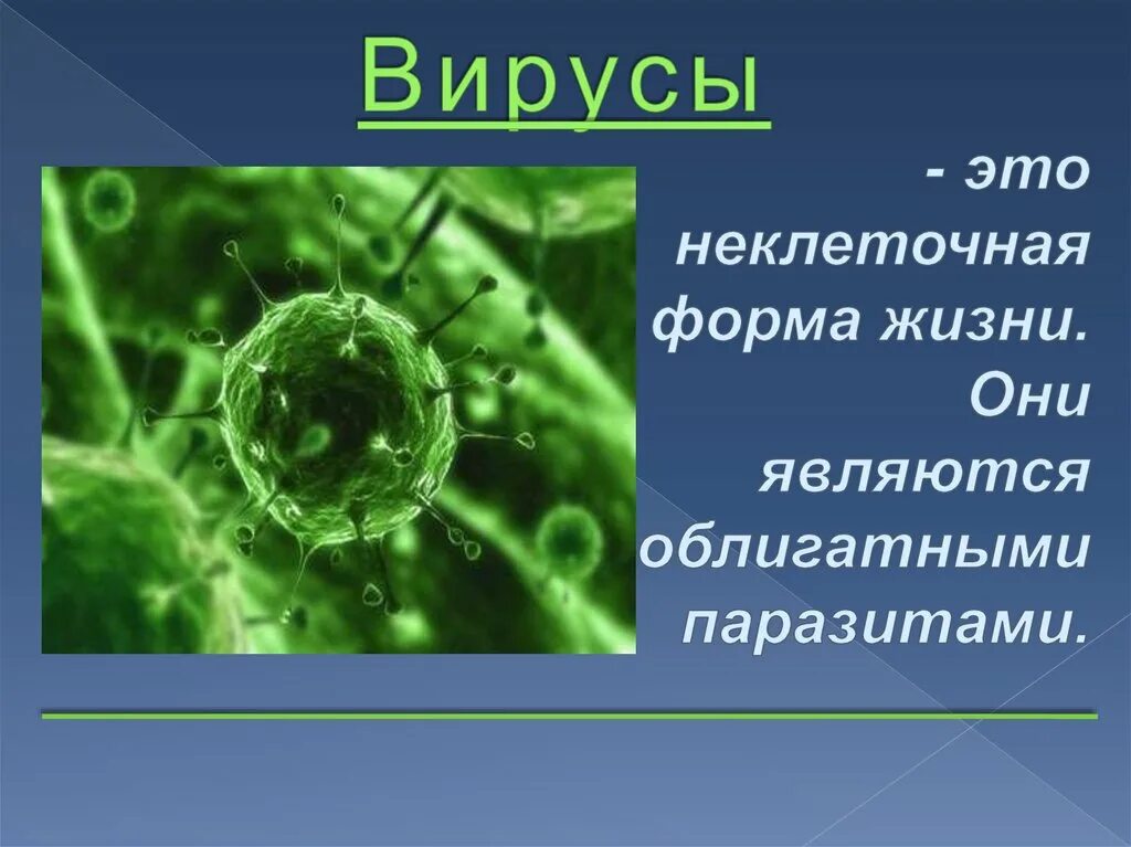 Презентация по биологии 5 кл вирусы. Вирусы проект по биологии. Вирусы доклад. Проект про вирусы.