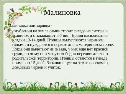 О 4 сообщений