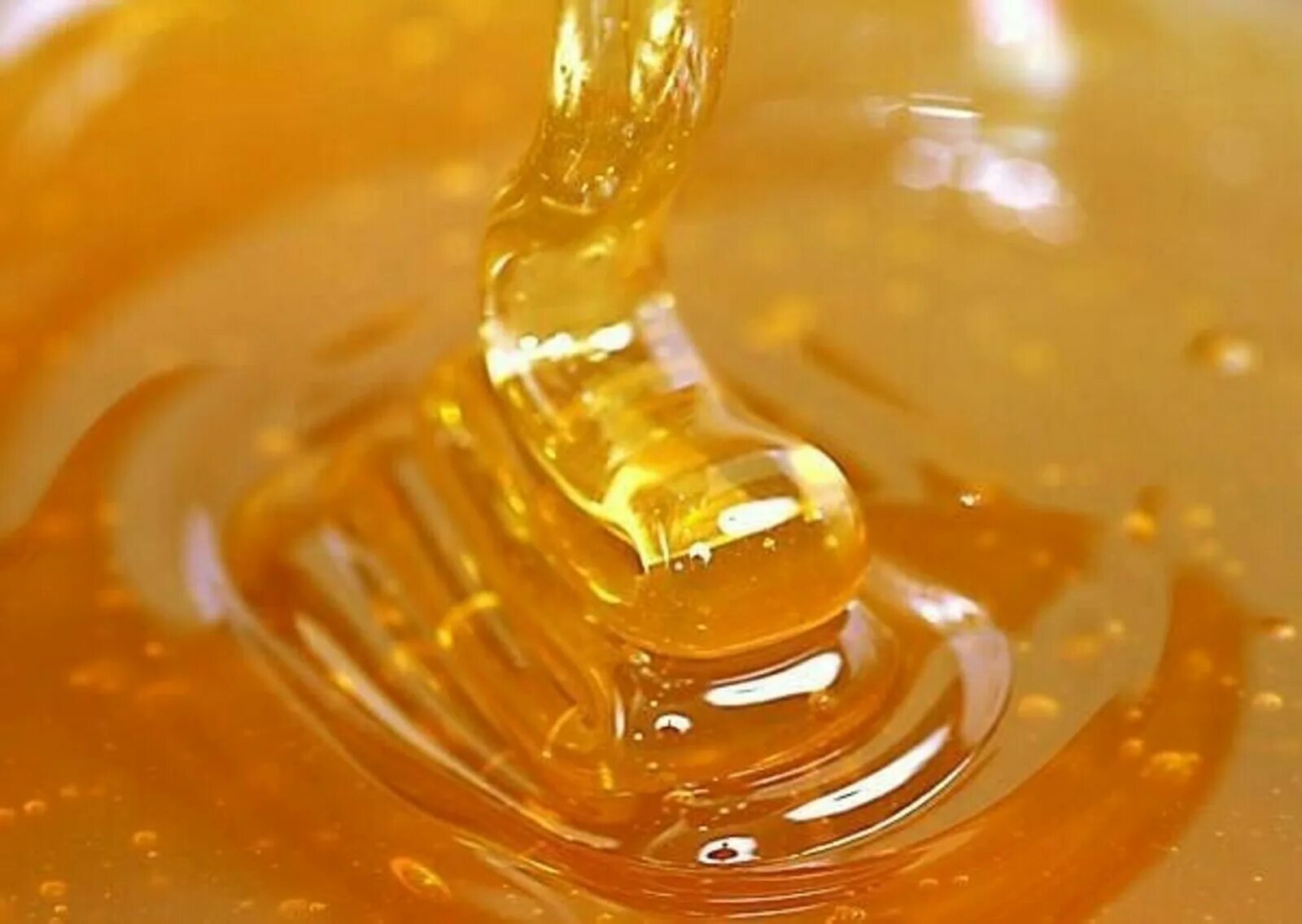 Жидкий мед. Мёд натуральный. Мед цветочный жидкий. Мед льется. Мед сверху вода