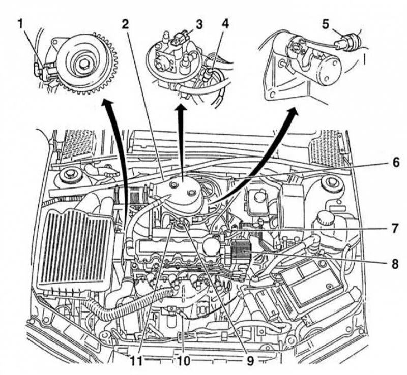 Устройства opel. Опель Вектра 2.0 схема двигателя. Топливная система Опель Вектра б 1.8 бензин. Топливная система Опель Вектра б 1.6.