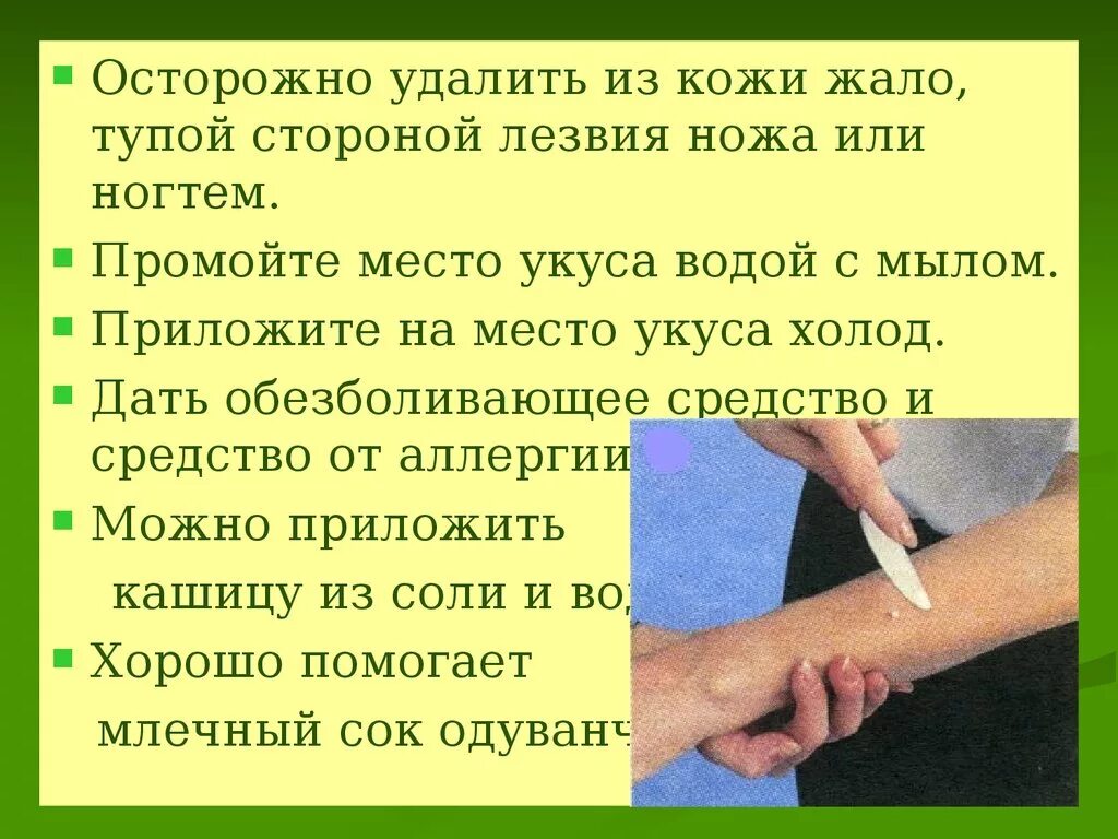 Нельзя делать при укусе. Оказание первой мед помощи при укусе насекомых. Оказание помощи при укусах змей. Оказание первой помощи при укосов насекомых.