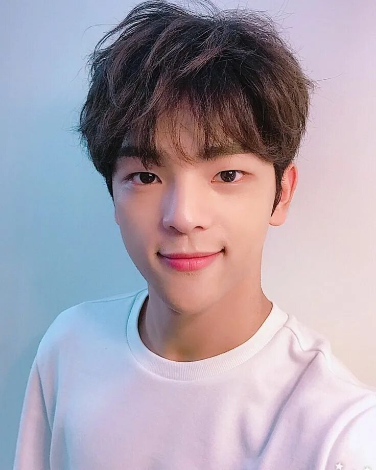 Чан сынмин. Чонин stray kids. уджин из stray kids. сынмин и минхо.