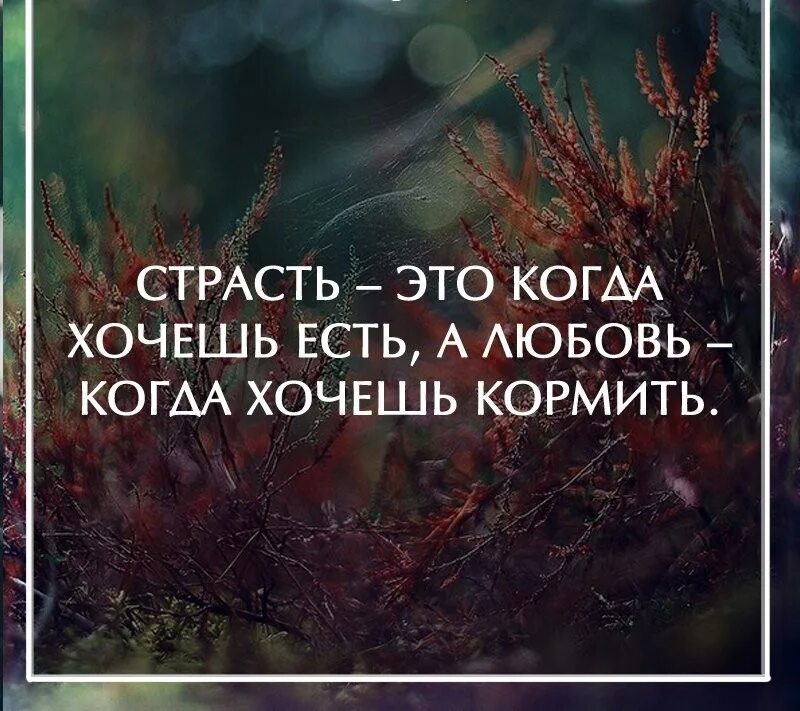 Не всегда нужны слова. Умные высказывания. Мудрые изречения. Цитаты про сложности в жизни. Цитаты про страсть.