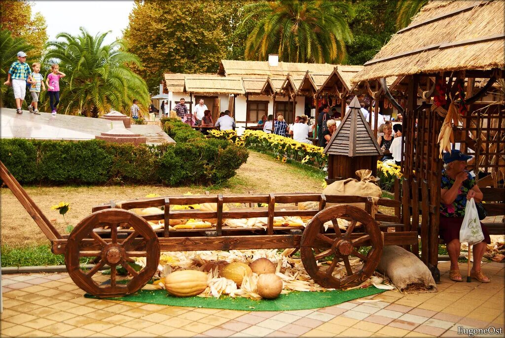 Хутор кружилинский казачье подворье. «крестьянское подворье павлиха». Печки-лавочки владимирская область зоопарк. Гуси в деревне. Русское подворье выставка.