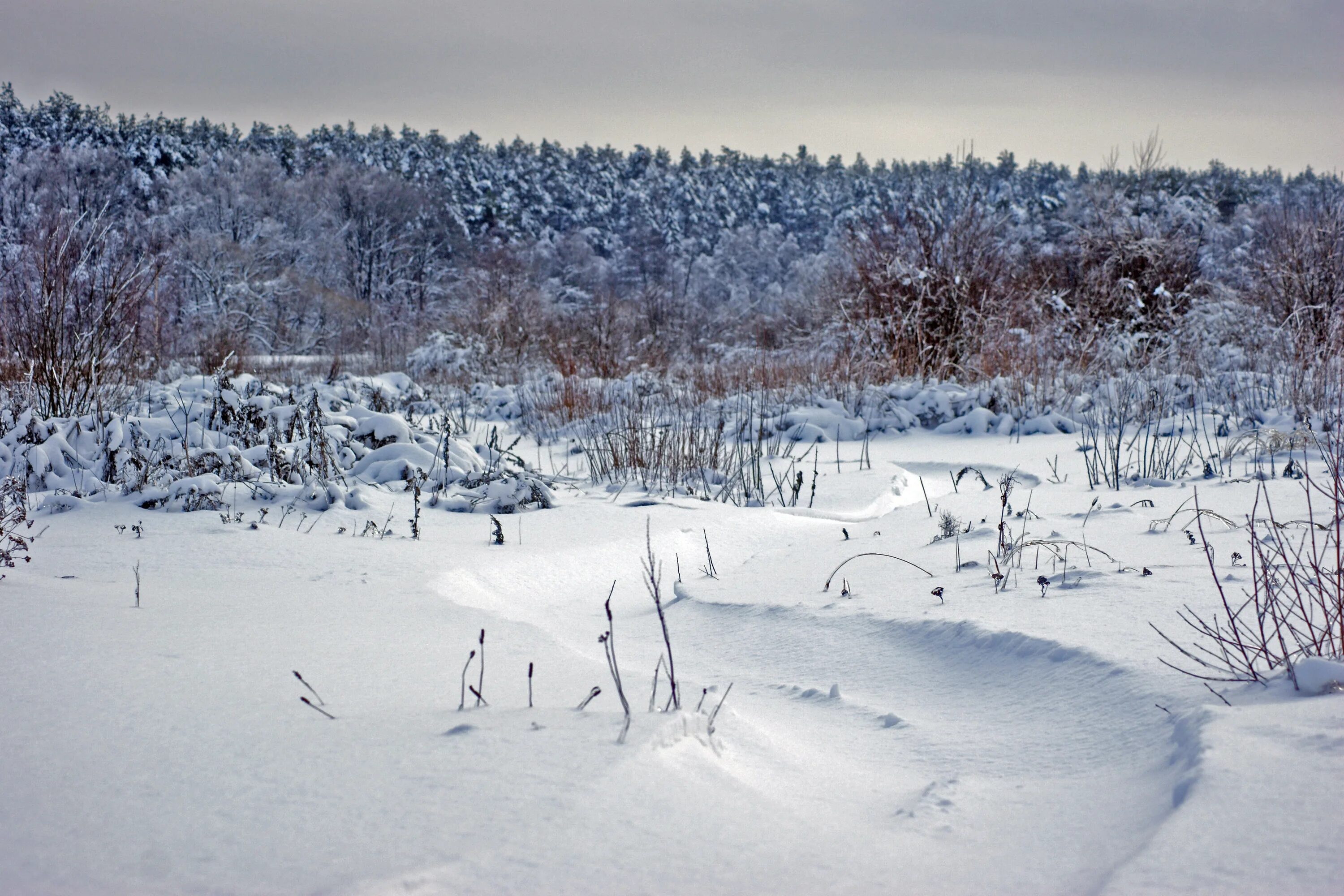 Когалым зимой. Заснеженные низины. Зима природа Когалыма. Когалым зимой фото.