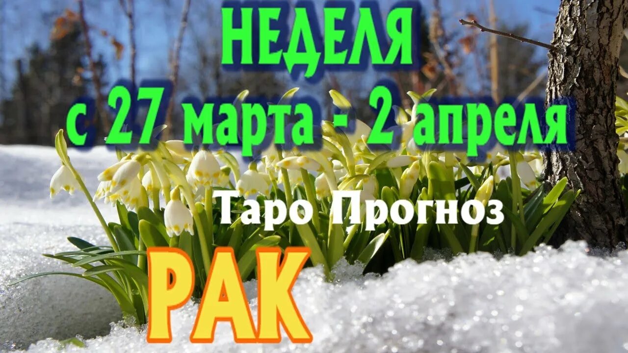 03 апреля 2025 г. 03 апреля 2025 г