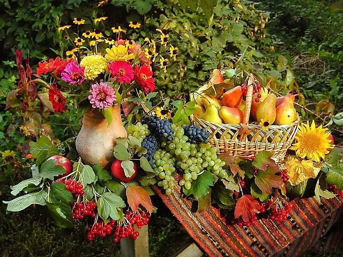 Осень в саду. Яблоки в саду. 1 с конца сентября все сады пустели. Поля. Осенние цветы.