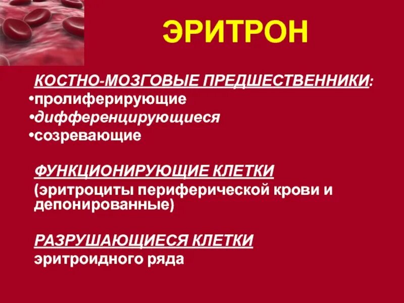 Эритрон. Эритрон патофизиология. понятие об эритроне. эритрон это физиология. патология эритрона.