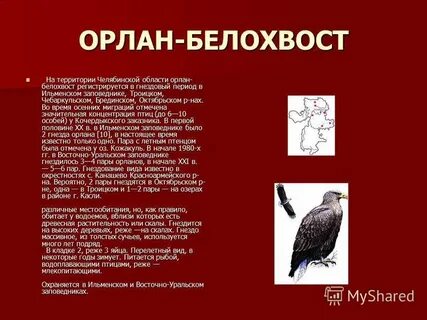 Книга про челябинскую область