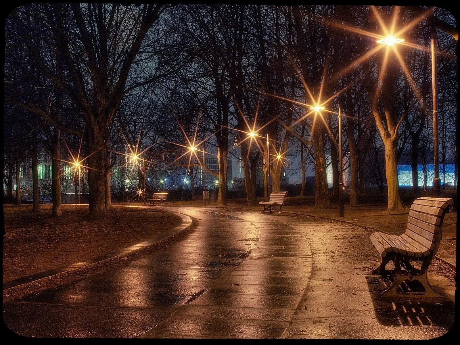 Тихим вечером в тихом саду. Ночной парк. Вечерняя улица с фонарями. Аллея с фонарями. Вечерний парк.
