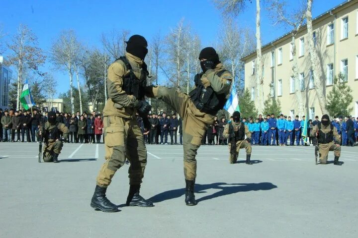 Выжить в самарканде от 14 января