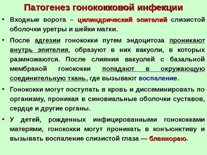 Гонококковая инфекция является