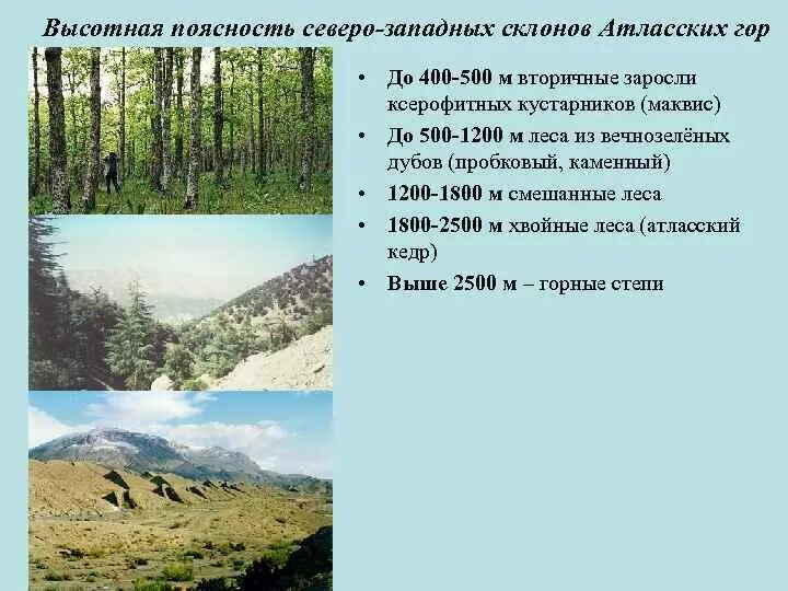 Воздушные массы умеренных широт. Урал на карте. Континентальный климат в россии. Почему в умеренном климате на западных склонах. Климатические условия северный урал средний урал южный урал таблица.