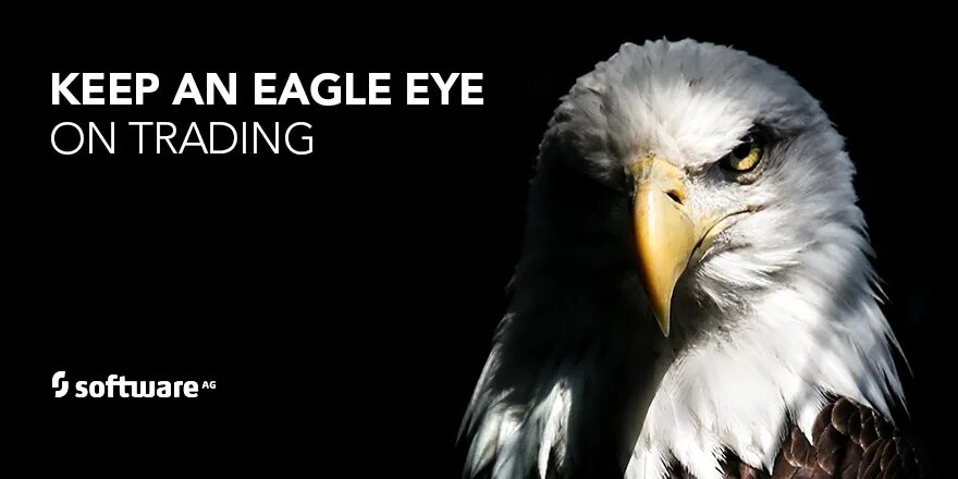 Keep an eye on you. Eagle Eye. Глаз Беркута. Eagle Eye дота. Eagle Eyes Project надпись.