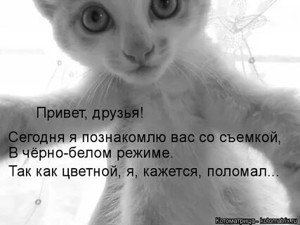 Кажется я сломала коммент не лайкается да