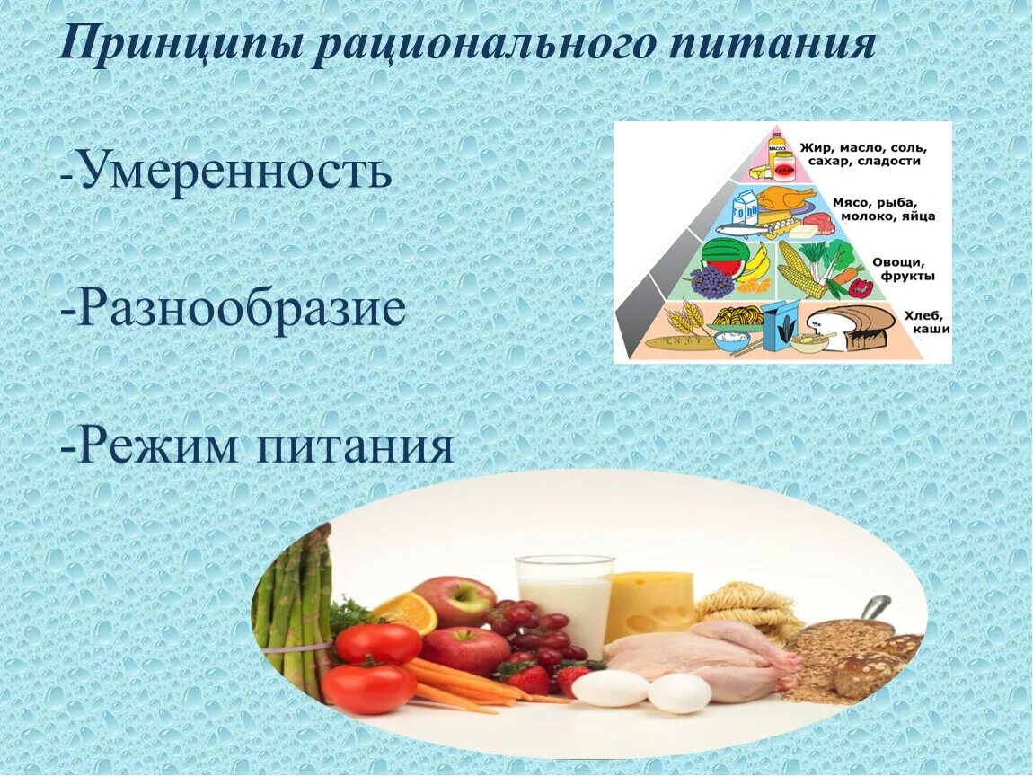 Назовите основной принцип рационального питания. Основные принципы рационального питания умеренность. режим питания основные принципы рационального питания. основные принципы здорового питания. принципы рационального (здорового) питания..