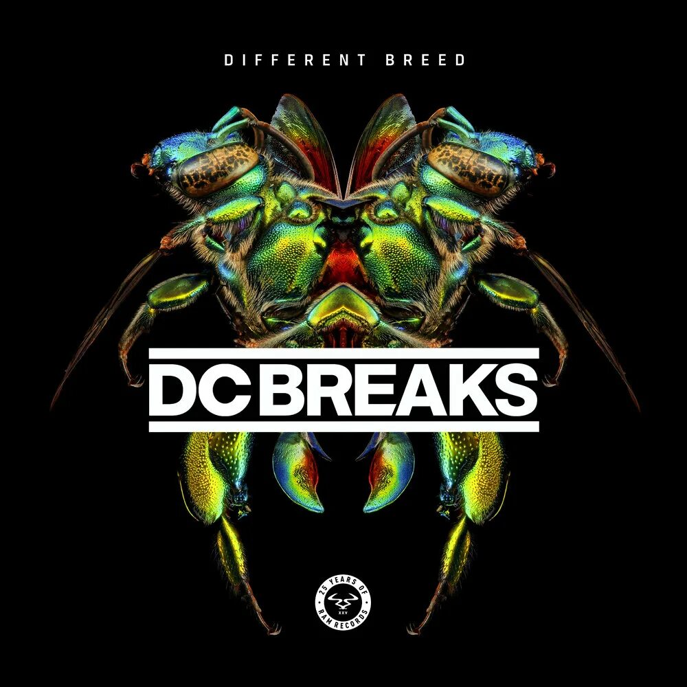 DC Breaks. Breaks обложка Beatport. DC Breaks - Pickett line. Заяц из DC Breaks Gambino картинка.