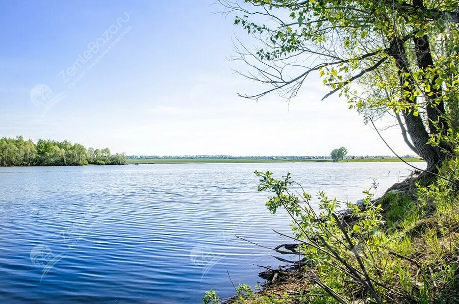 Село тарлаши казань. Озеро заячье столбище. Погода чистое озеро лаишевского. Погода чистое озеро лаишевского. Погода чистое озеро лаишевского.