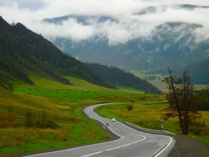 Тракт в горном алтае