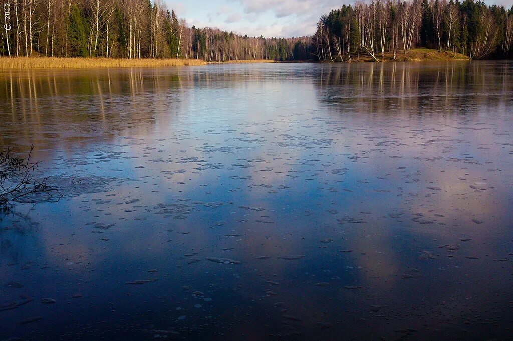 лесное озеро ферма сергиев посад. сергиево посадское озеро. загорское море сергиев посад озеро. сергиево посадское озеро. лесное озеро ферма сергиев посад.