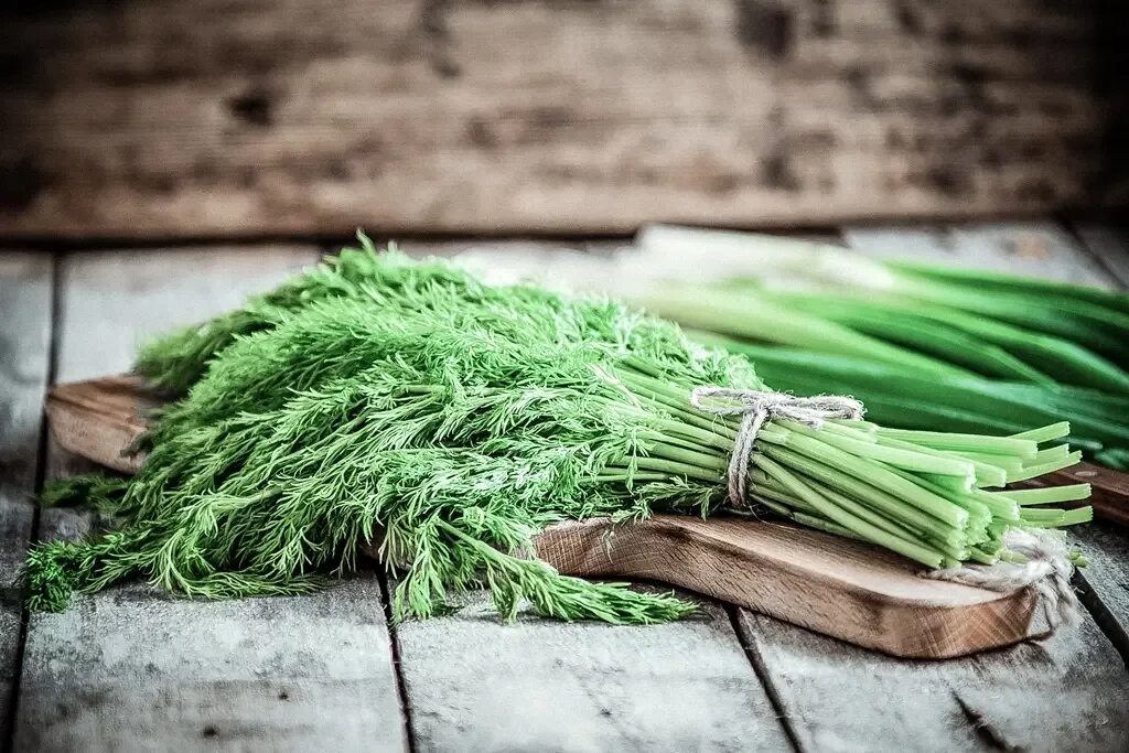 Пряные овощи. Лук и укроп. Овощи зелень грибы укроп. Овощи на тарелке. Овощи.