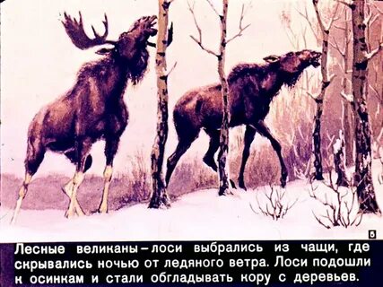 Русский язык 3 класс изложение лось
