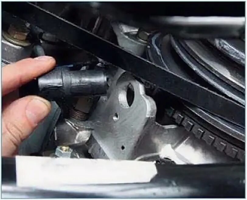 Датчик дроссельной заслонки умз 4213. Умз 4216 датчик давления масла расположение. Датчик коленвала газель некст эвотек 2. Датчики двигателя умз 4216. Датчик указателя температуры умз 4216.