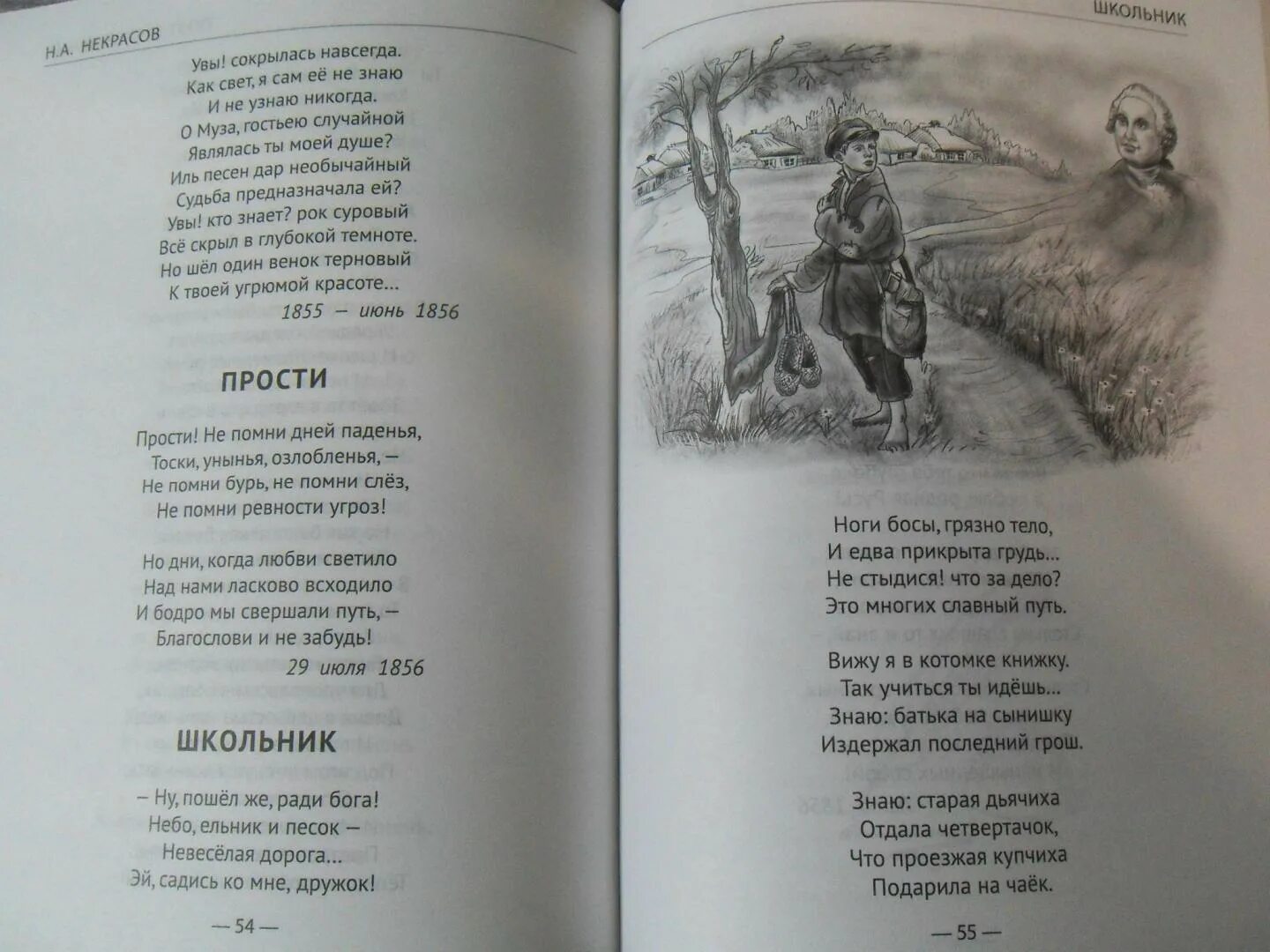 Стихотворение Некрасова соловьи. Некрасов соловьи текст. Стих Некрасова соловьи читать. Иллюстрации школьник по стиху Некрасова. Стихотворение соловей текст