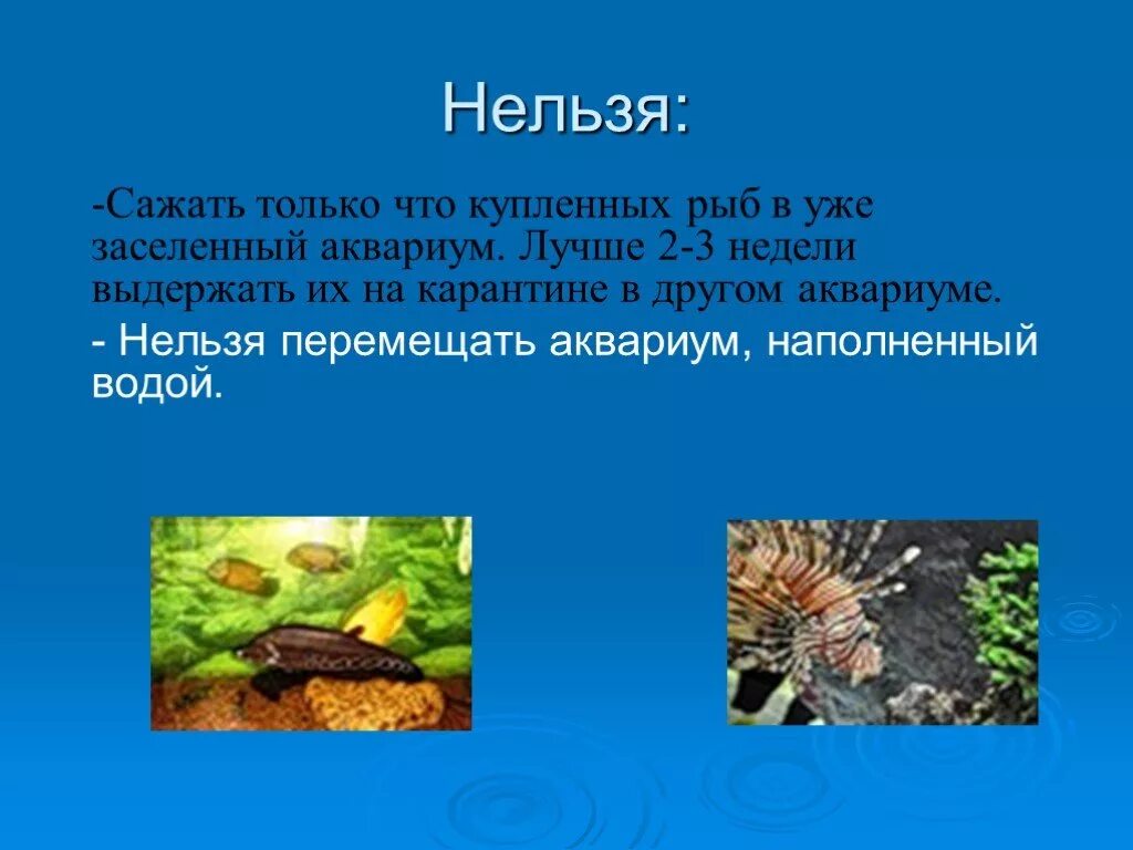 Какие условия необходимо соблюдать при создании экосистемы