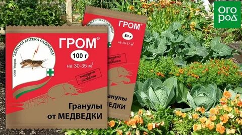 Средство от медведки в огороде