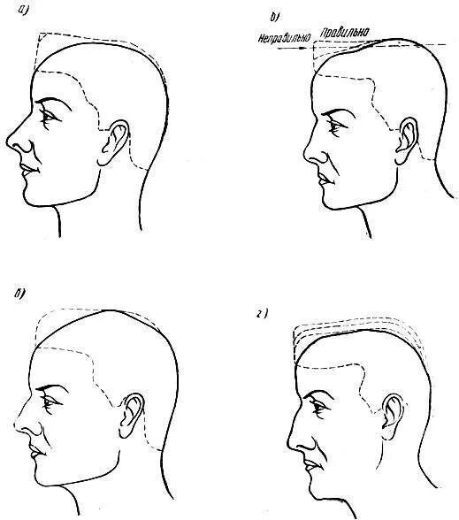 Форма затылка. Схемы мужских стрижек. Стрижки по форме черепа. Правильная форма черепа сбоку. Прически по форме черепа мужские.