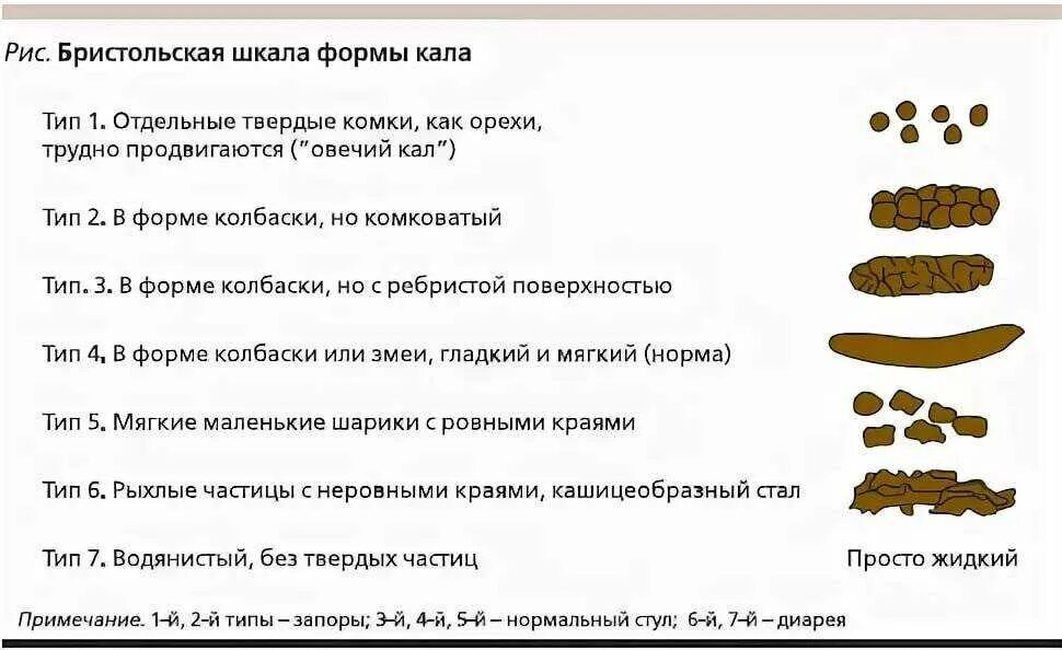 Какого цвета нормальный кал у человека. Нормальный цвет стула у взрослого.