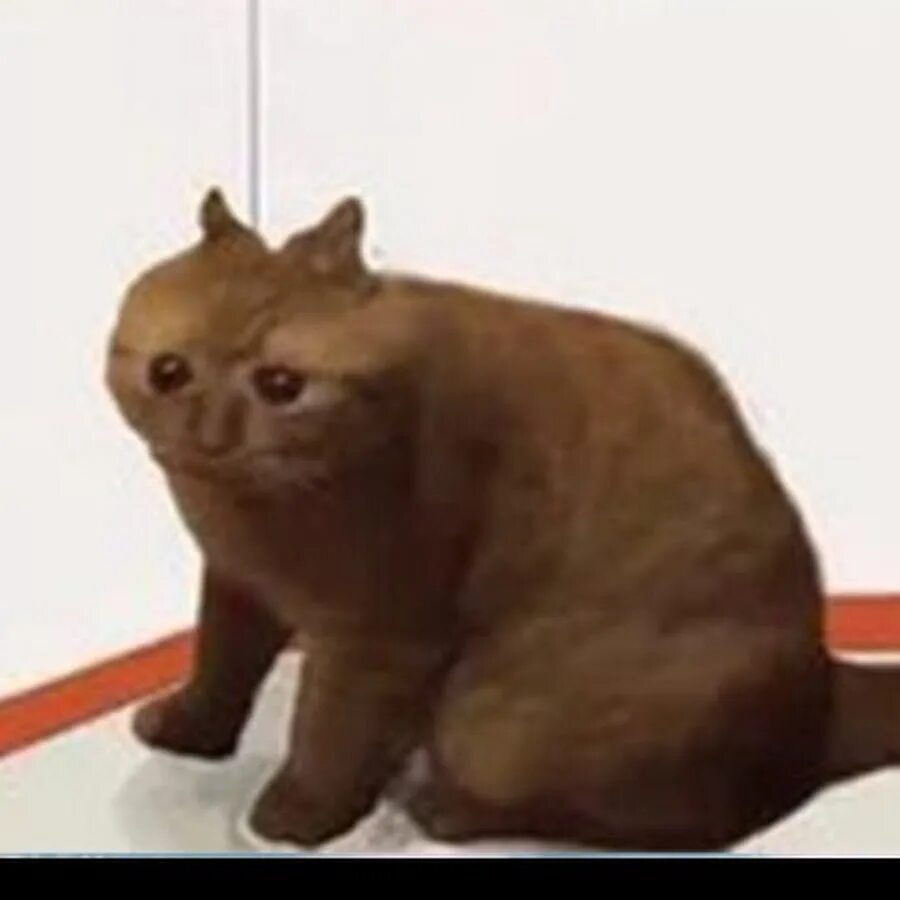 Еврейская кошка. Кот чак. Кот чак. Кот дединсайд. Кот чак.